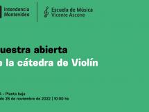 Muestra abierta violín